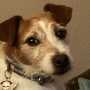 Meet your Posher, Jonathon